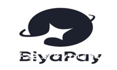 如何下载并安装Bying钱包