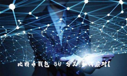 比特币钱包 BU 分叉:如何应对?
