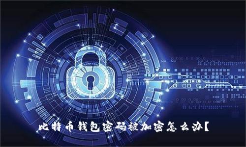 比特币钱包密码被加密怎么办?