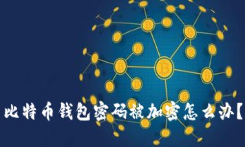 比特币钱包密码被加密怎么办?