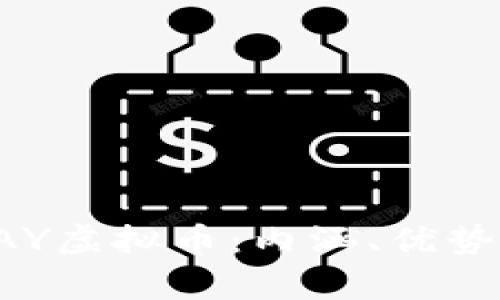 全面解析PAY虚拟币:内涵、优势与未来展望