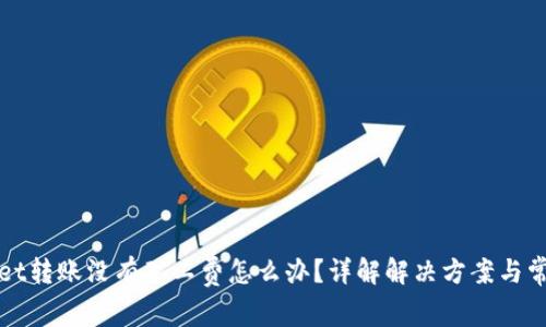 TPWallet转账没有矿工费怎么办?详解解决方案与常见问题