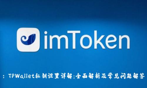 : TPWallet私钥设置详解:全面解析及常见问题解答