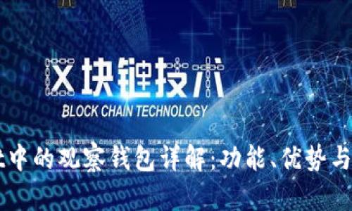 TPWallet中的观察钱包详解:功能、优势与使用指南