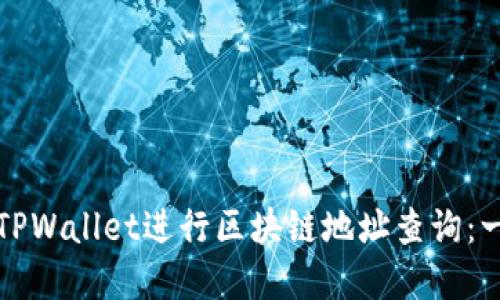 如何使用TPWallet进行区块链地址查询:一步步详解