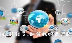  TPWallet转错了，如何找回