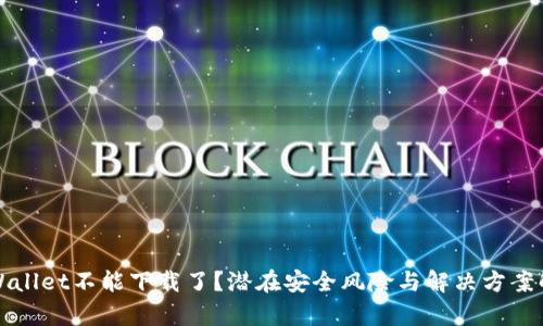 TPWallet不能下载了?潜在安全风险与解决方案解析