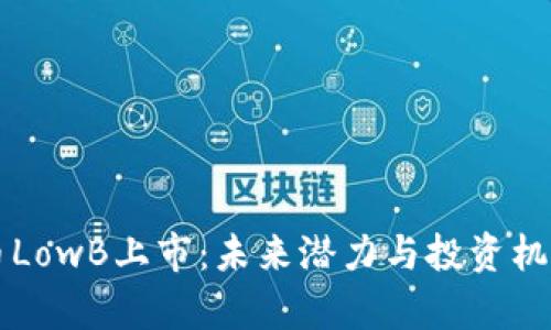 虚拟币LowB上市:未来潜力与投资机遇解析