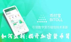   虚拟币创始人如何盈利：