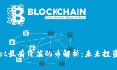 TPWallet最有价值的币解析：