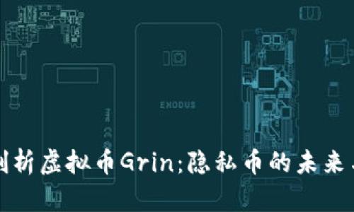 深入剖析虚拟币Grin:隐私币的未来与挑战