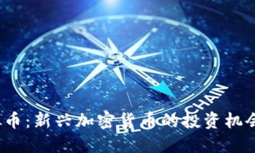 JLL虚拟币:新兴加密货币的投资机会与挑战