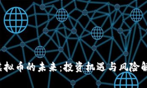 虚拟币的未来:投资机遇与风险解析