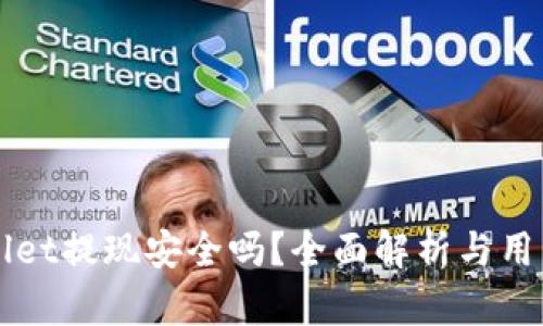 TPWallet提现安全吗?全面解析与用户指南