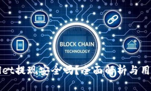 TPWallet提现安全吗?全面解析与用户指南