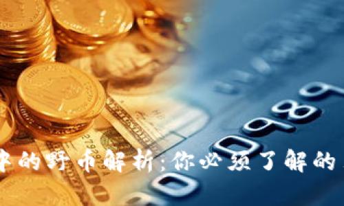 虚拟币市场中的野币解析:你必须了解的另类数字货币