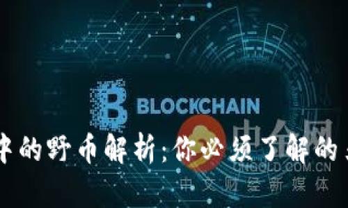 虚拟币市场中的野币解析:你必须了解的另类数字货币