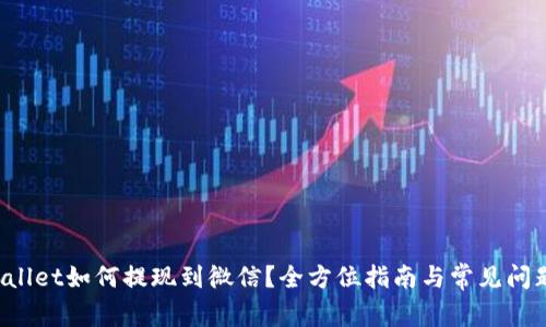TPWallet如何提现到微信?全方位指南与常见问题解析