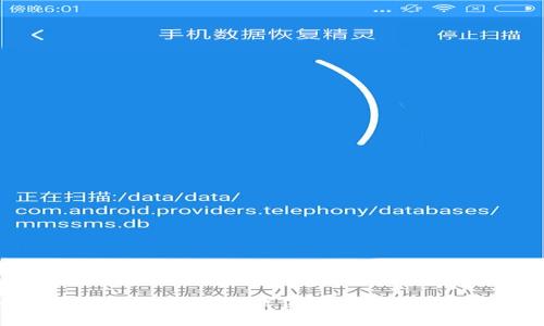 全面解析虚拟币钱包软件:选择、功能与安全性