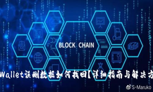 TPWallet误删数据如何找回?详细指南与解决方案