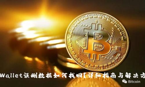 TPWallet误删数据如何找回?详细指南与解决方案