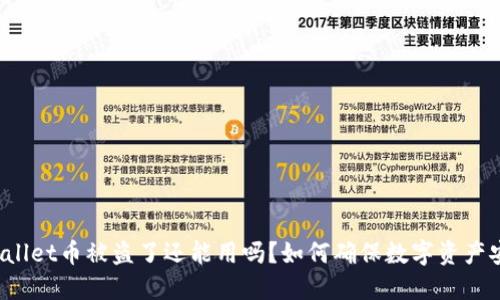 TPWallet币被盗了还能用吗?如何确保数字资产安全?