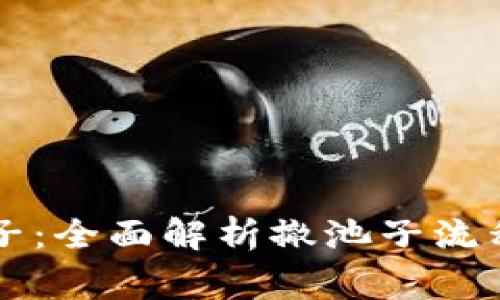 虚拟币撤池子:全面解析撤池子流程与注意事项