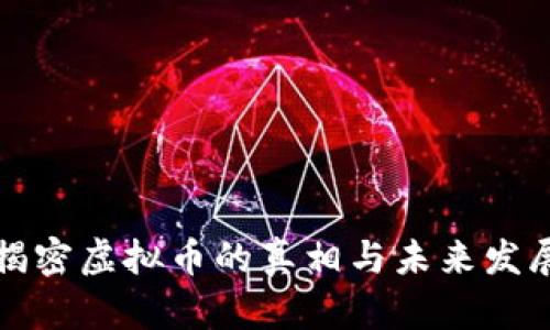 揭密虚拟币的真相与未来发展
