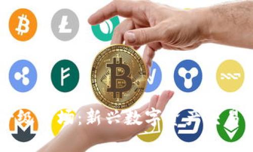 TPWallet一级市场:新兴数字资产交易平台全解析