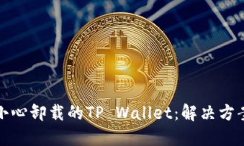 如何找回不小心卸载的TP Wallet:解决方案与步骤详解