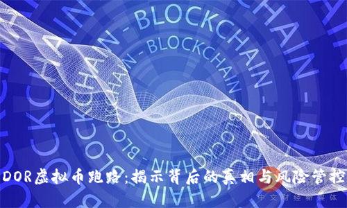 DOR虚拟币跑路：揭示背后的真相与风险管控