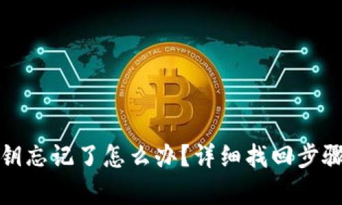 tpwallet密钥忘记了怎么办?详细找回步骤与解决方案