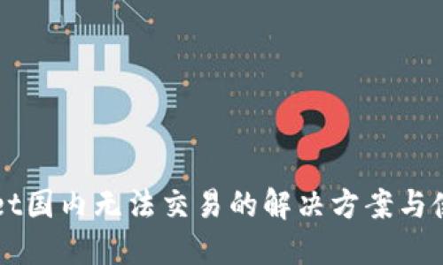 TPWallet国内无法交易的解决方案与使用指南
