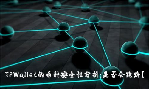TPWallet的币种安全性分析:是否会跑路?