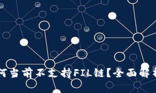TPWallet为何当前不支持FIL链?全面解析与解决方案
