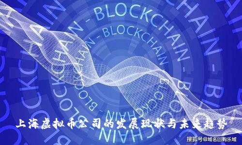 上海虚拟币公司的发展现状与未来趋势