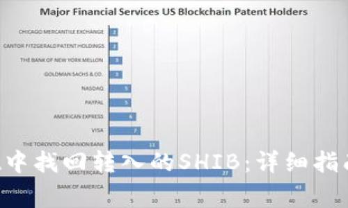 如何在TP Wallet中找回转入的SHIB:详细指南与常见问题解答