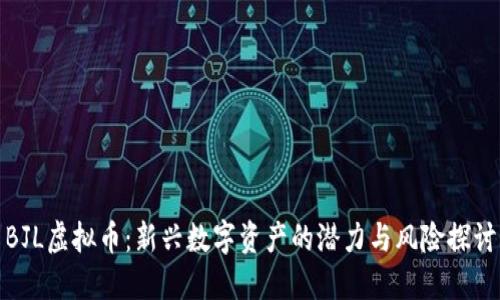 BJL虚拟币:新兴数字资产的潜力与风险探讨