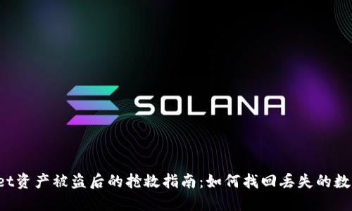 TPWallet资产被盗后的抢救指南:如何找回丢失的数字资产?