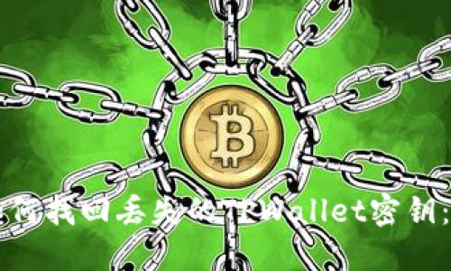 Title: 如何找回丢失的TPWallet密钥:完整指南