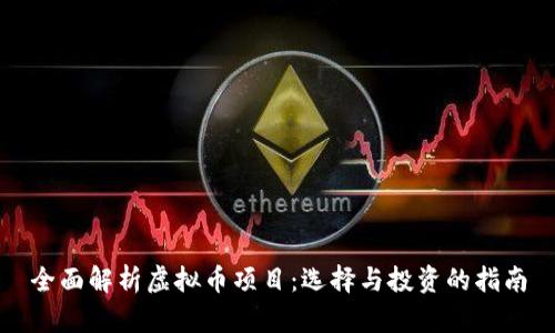 全面解析虚拟币项目:选择与投资的指南