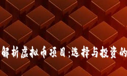 全面解析虚拟币项目:选择与投资的指南