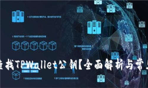 如何查找TPWallet公钥?全面解析与常见问题