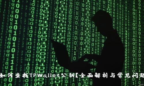 如何查找TPWallet公钥?全面解析与常见问题