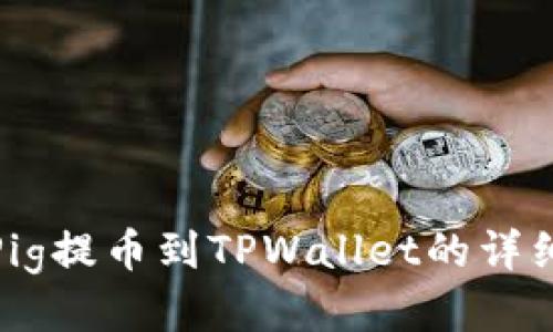 抹茶Pig提币到TPWallet的详细教程