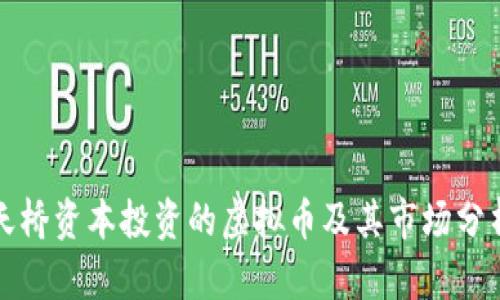 天桥资本投资的虚拟币及其市场分析