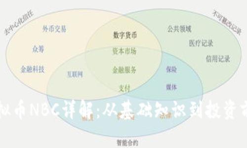 虚拟币NBC详解:从基础知识到投资前景