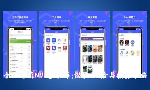 全面解析NVL虚拟币：潜力、风险与投资策略