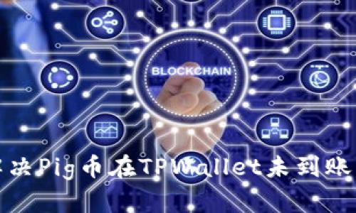 如何解决Pig币在TPWallet未到账的问题