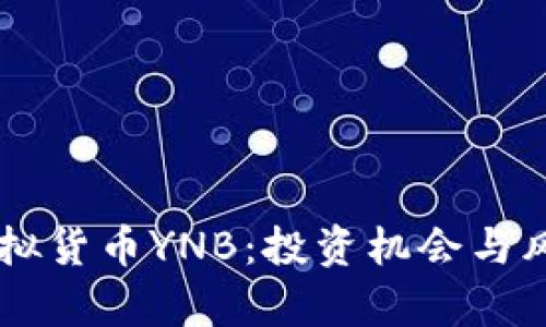 了解虚拟货币YNB:投资机会与风险解析